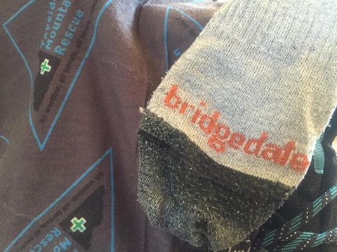 bridgedale